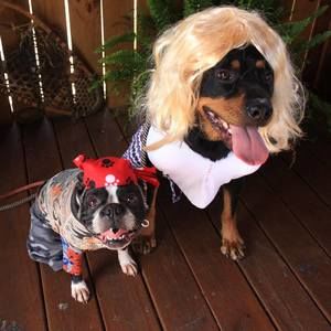 Meet your Posher, Joyce